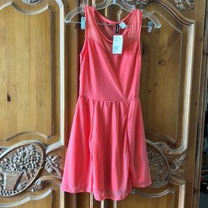 MWT skater dress